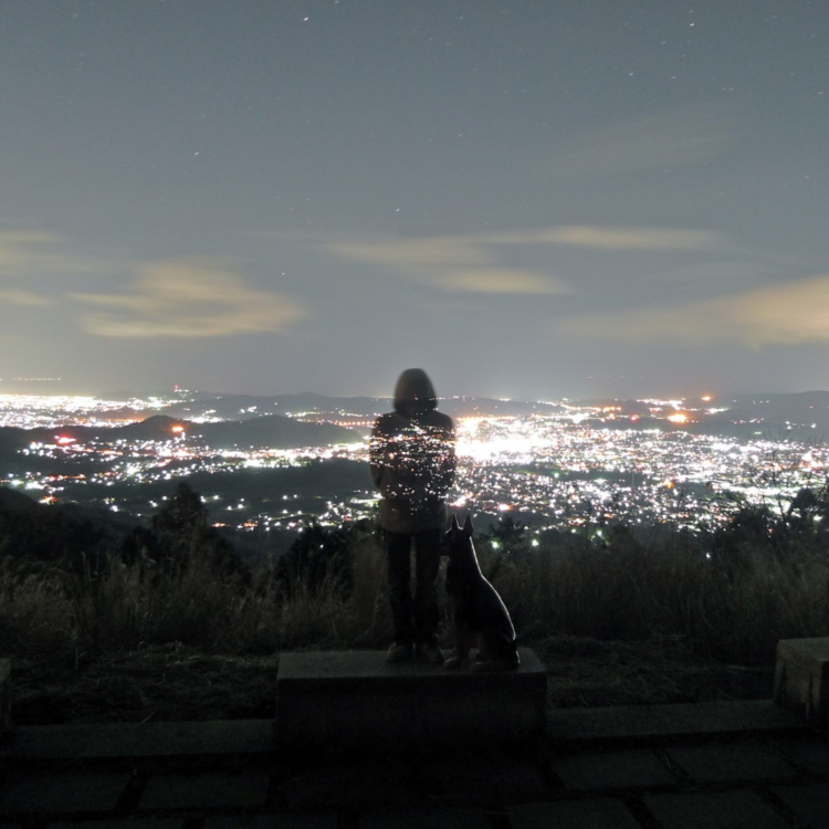 Laika Came Back 　LIVE